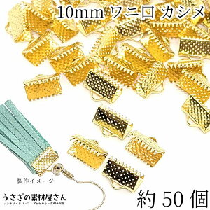 yXP{5{Iz{ő1,000~N[|Ij JV 10mm 50 {Ghp[c S[hF {ߋ ^bZ b nhChp[c ̑fމ