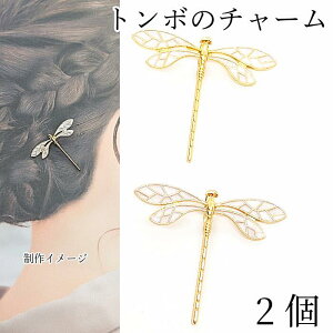 `[ Ƃ 36mm 2 H̃nhChp[c  lbNXgbv G| J[`[  ANZT[p[c ̑fމ IWi wAS ޗ