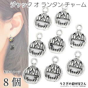 `[ ڂ WbNI[^ 11mm 8 AeB[N Vo[F  nEB ANZT[p[c ̑fމ lbNXgbv nhCh p[c