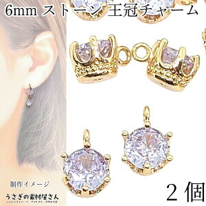 Xg[`[  NE 6mm 2 Cgx_[ FύX `g  ~j Px KXXg[ ANZT[p[c ̑fމ nhCh p[c 炫