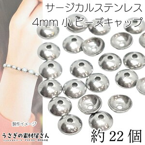 r[Y Lbv Vv ɏ 4mm 22 T[WJXeX XeXF Vo[ F Eh Xy[T[ ~jTCY ANZT[ p[c ̑fމ XeX bp