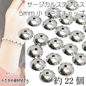 r[Y Lbv Vv  5mm 22 T[WJXeX XeXF Vo[ F Eh Xy[T[ ~jTCY ANZT[ p[c ̑fމ XeX b