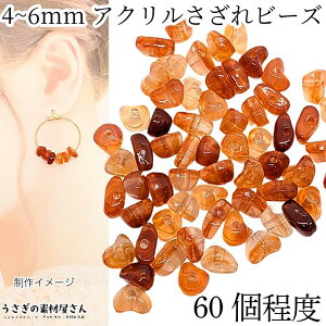 y{3{IőP6{Iz_ڊӃf[^AN  iQbgr[Y 4mm`6mmx IWuE n _ 60ڈ ANr[Y ANZT[p[c ̑fމ