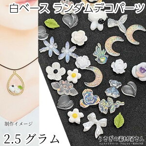 デコパーツ 封入パーツ クリア 白 ベース リボン 花 星 月 等 ランダム 穴なし ミックス 約2.5グラム レジン封入 シェイカーモールド パーツ うさぎの素材屋さん ネイルパーツ