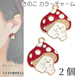 LmR `[ 21mm 2 J[`[ nEB ̂ I H ANZT[p[c _ ̑fމ H̃nhCh p[c Hו ޗ d