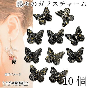 `[ o^tC 10mm 10 ubN n Of[V KX  r[Y X ԍ ANZT[p[c ̑fމ nhCh p[c