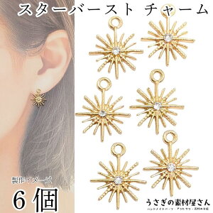 y{3{IőP6{Iz_ڊӃf[^`[  X^[o[Xg 14.5mm 6 NA Xg[ S[hF ANZT[p[c ̑fމ LL FG V KX R