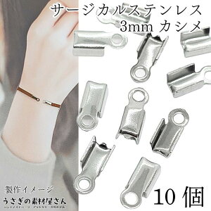 y{3{IőP6{Iz_ڊӃf[^JV R T[WJXeX a3mm 10 XeX|F ܂肽݃JV ߋ b ANZT[p[c ̑fމ