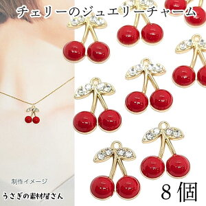 `[ `F[ 8 19mm cherry _ y_ggbv ANZT[p[c ̑fމ TN{ nhCh p[c Xg[`[ | ޗ