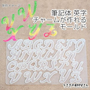 【最大2000円OFF】マラソン限定クーポン!アルファベット シリコンモールド 英字 筆記体 外径155mm程度 1個 レジン型 レジンチャーム パーツ製作に ハンドメイドパーツ うさぎの素材屋さん ロ
