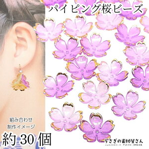  r[Y 18mm 30 AN p[vn  S[hpCsO   Ԃт 傫 a ANZT[p[c ̑fމ nhCh p[c