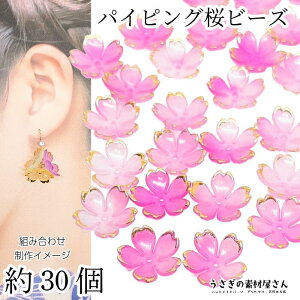  r[Y 18mm 30 AN zbgsN sNn S[hpCsO   Ԃт 傫 a ANZT[p[c ̑fމ nhCh p[c