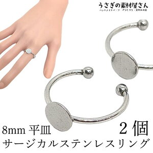 w 8mmM T[WJXeX a18mm O 2 Vv AW w Mw ANZT[p[c ̑fމ nhCh p[c w֋ wփp[c