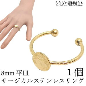 yXP{5{Iz{ő1,000~N[|Iw 8mmM T[WJXeX a18mm S[hF O 1 Vv AW w Mw ANZT[p[c ̑f