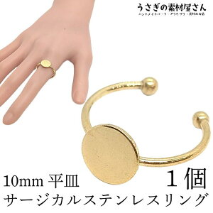 w 10mmM T[WJXeX a18mm S[hF O 1 Vv AW w Mw ANZT[p[c ̑fމ nhCh p[c w֋ wփp[c