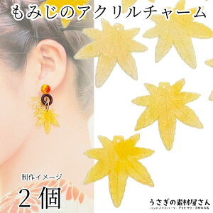 `[ ݂ 26mm 2 AN`[ F CG[IWn gt a nhChp[c ̑fމ H G gt [t`[ nhChp[c |