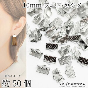 yő500~OFFz0̂N[|Ij JV 10mm 50 {Ghp[c WEF {ߋ ^bZ b nhChp[c ̑fމ ANZT