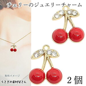 yXP{5{Iz{ő1,000~N[|I`[ `F[ 2 19mm cherry _ y_ggbv ANZT[p[c ̑fމ TN{ nhCh p[c 