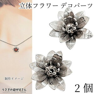 ySSy15ItI2000~OFFN[|!!zr[Y t[  ΍ r[YLbv 15mm 2 ԍ ԃLbv WEF Ԃт ^p[c t[r[Y ANZT[p[c 