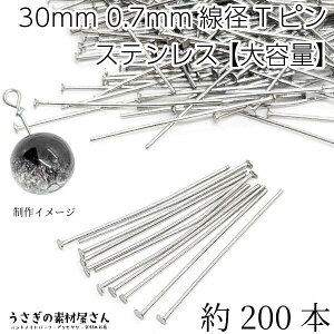 y{3{IőP6{Iz_ڊӃf[^ts ϐFh~ XeX 30mm a 0.7mm 200{ wbh 1.5mm XeX|F ڑp[c sp[c b nhChp[c ̑f