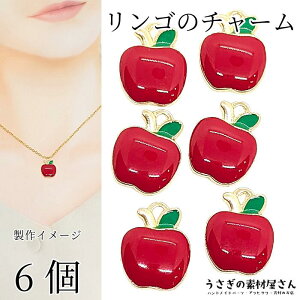  `[ J[`[ 13.5mm 6 ԗь S ʕ t[c ANZT[p[c ̑fމ H ~ nhChp[c  H̋G 