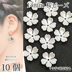  r[Y 14mm 10 p[h AN a t t[r[Y Vv  Ԃт a ANZT[p[c ̑fމ t nhCh p[c
