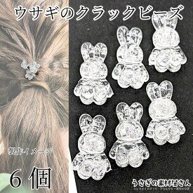 クラックビーズ うさぎ 24mm 6個 アクリルビーズ クリア 透明 ウサギビーズ ハンドメイド パーツ うさぎの素材屋さん アクセサリーパーツ 動物 兎 貫通穴 アニマル 夏 冬 氷