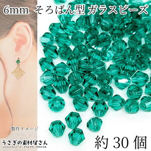 yXP{3{&500~ItN[|Iz{IKXr[Y \or[Y 6mm KXp[c o~ 30 _[NVAn ANZT[p[c ̑fމ nhCh p