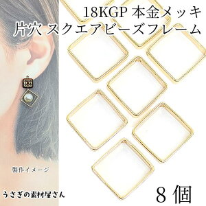 r[Yt[ XNGA 8 20mm i 18KGP {bL lp F ANZT[p[c ̑fމ nhCh p[c fUCOt[