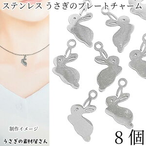  `[ XeX 11mm×14mm 8 201XeX ϐFɂ ETM e nhChp[c ̑fމ ANZT[p[c AM[΍