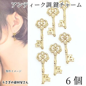 `[  n[g  XeBbN `[ 24mm 6 heart `[t AeB[NfUC nhChp[c ̑fމ K[[ ANZT[p[c