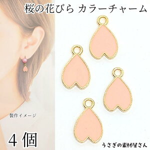  Ԃт `[  10mm 4  sNn S[hF Vv TN t[p[c t a ANZT[p[c ̑fމ nhChp[c