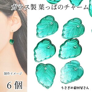 yő2000~OFFzubNtCf[I`[ t [tr[Y 13mm 6 VA O[n Of[V fUC t A  ANZT[p[c ̑fމ t n