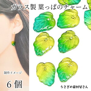 `[ t [tr[Y 13mm 6 CG[O[n Of[V fUC t A  ANZT[p[c ̑fމ t nhChp[c