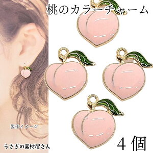 `[  17mm 4  J[`[ ẴnhChp[c ʕ  t[c nhCh p[c ̑fމ 킢 s[` ANZT[p[c