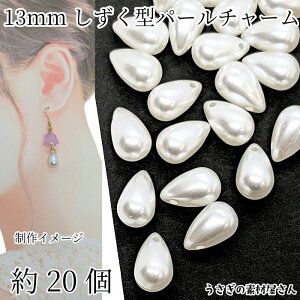 r[Y p[`[  13mm 20 AN hbv ܌^ i ANZT[p[c ̑fމ nhCh p[c Vv sAXCO | ޗ