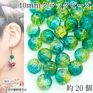 KXr[Y 10mm 20 C O[n NbNr[Y Of[V 2g[ NbNr[Y ANZT[p[c ̑fމ nhCh p[c