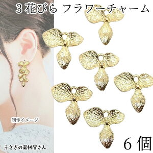 `[  t[ 16mm 6 y_ggbv S[hF 3Ԃт lC̉Ԃ̃p[c A {^jJ `[ ANZT[p[c ̑fމ nhCh p[c