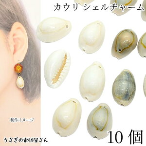 y{3{IőP6{Iz_ڊӃf[^VF r[Y JE `[ 16mm~24mmx 10 t[zCg CgO[ r[Y JEVF L p[c ̑fމ 