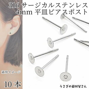 yX|Cg{3{z{ŏIIT[WJXeX 316XeX sAX p[c 4mm M 10{ AM[Ή ̑fމ nhChp[c Kтɂ |Xg sAX AN