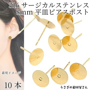 T[WJXeX 316XeX sAX p[c 8mm M 10{ S[hF AM[Ή ̑fމ nhChp[c Kтɂ |Xg sAX ANZT[