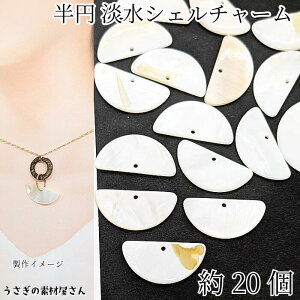 y{3{IőP6{Iz_ڊӃf[^VF`[ WVF 14mm×29mm 20 ~ ̂VF L`[ } VFp[c VRf ANZT[p[c ̑f