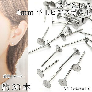 XeX sAX p[c 4mm M 30{ AM[΍ ̑fމ nhChp[c Kтɂ sAX|Xg ANZT[p[c b