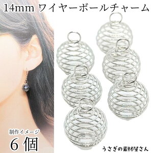 `[ C[`[  14mm 6 WEF {[`[ XvO`[ nhChp[c ̑fމ ANZT[p[c