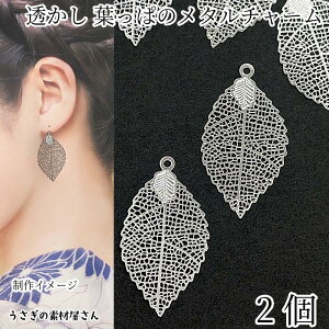 `[ 36mm t 2  ^`[ WEF fUC t [t Wg `[ ANZT[p[c ̑fމ A nhCh p[c