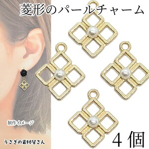 yő2000~OFFz}\N[|IH` `[ p[`[ XNGA lt`[t 20mm 4 Vv i ANZT[p[c ̑fމ ANZT[p[c