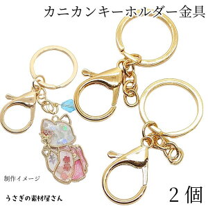 L[z_[  JjJ NXv ^Cv 2 S[hF FbL J`FbNς Vv L[O ANZT[ L[z_[p p[c ̑fމ