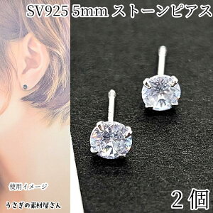 yXP{5{Iz{ő1,000~N[|IsAX Vo[925 5mm KXXg[ 2{i1yAjVo[F |Xĝ nhChp[c ̑fމ ANZT[p[