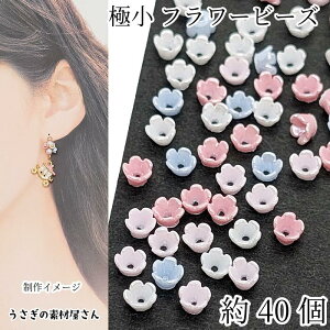 yXP{5{Iz{ő1,000~N[|It[r[Y ԍ  3.5mm 40 ~jTCY 5Ԃт ~bNXJ[ AN r[YLbv ̑fމ nh