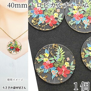 nCrXJX `[  40mm 1  A NA  gsJ nCA 傫 `[ }  S[hNbV ̑fމ nhChp[c